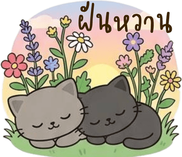 ลายที่ 17