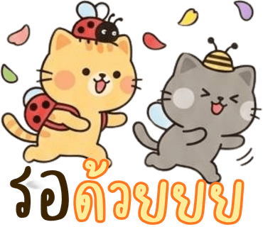 ลายที่ 40