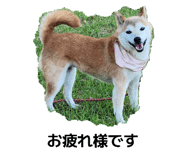 834187130