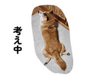 834187136