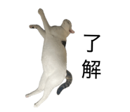834187220