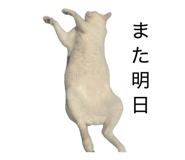 834187226