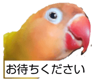 834202689