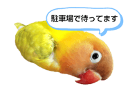 834202697
