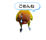 834202704