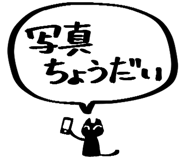 834203615