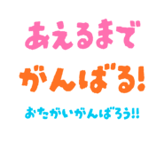 834204146