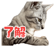 834207725