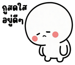 ลายที่ 41