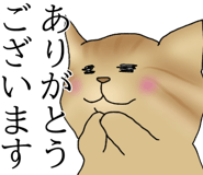 834210675