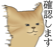 834210681