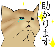 834210685