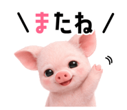 834212459
