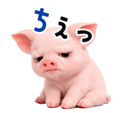 834212460