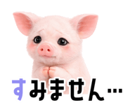 834212461