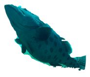 834217430