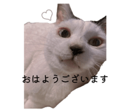 834217945