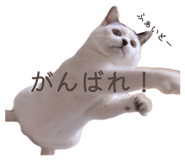 834217948