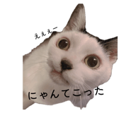 834217952