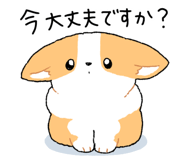 834221017
