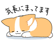 834221040