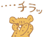 834226144