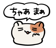 834226537