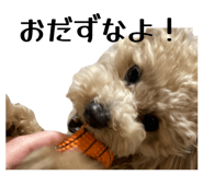 834235249