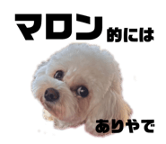 834240288