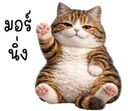 ลายที่ 1