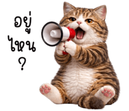 ลายที่ 3