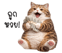 ลายที่ 23