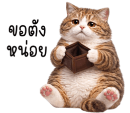 ลายที่ 25