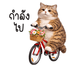 ลายที่ 33