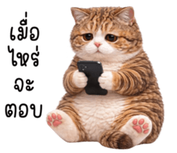 ลายที่ 35