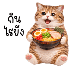 ลายที่ 43