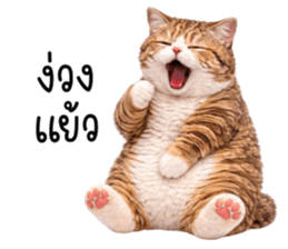 ลายที่ 57