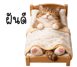 ลายที่ 63