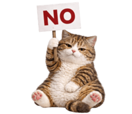 ลายที่ 5