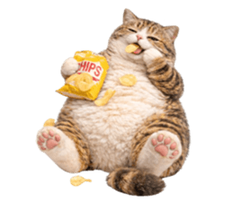 ลายที่ 21