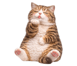 ลายที่ 29