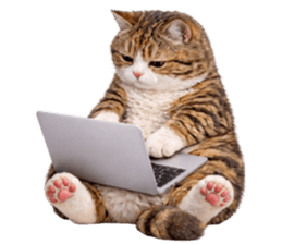 ลายที่ 47