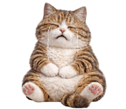 ลายที่ 51