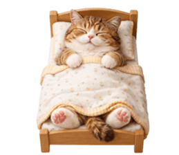 ลายที่ 63