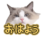 834243041