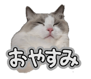 834243044