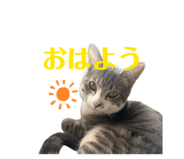 834243169