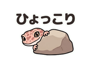 834243530