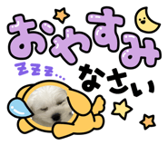 834247329