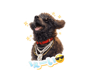 834247595